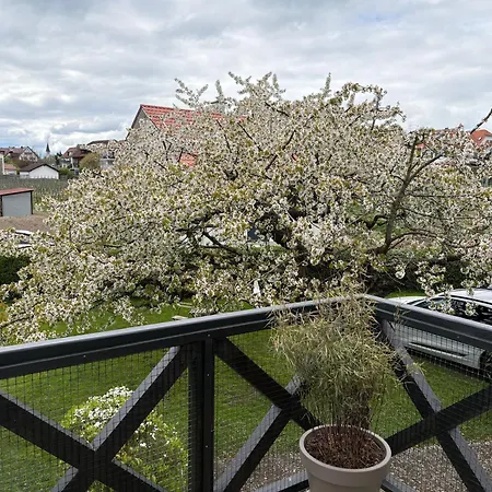 Apartes Am Bodensee - Balkon, Parkplatz, Wifi * Hagnau am Bodensee